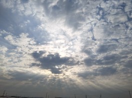 失踪人员：孔昭礼，孔宪根，孔宪柱