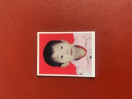 失踪人员：逯健芳