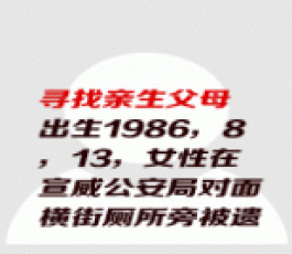 失踪人员：李红梅