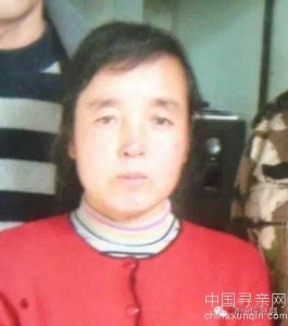 失踪人员：寻找我的妈妈