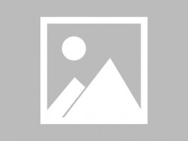 失踪人员：许金梨