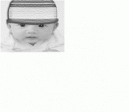 失踪人员：明明